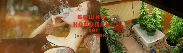 гашик Волосово