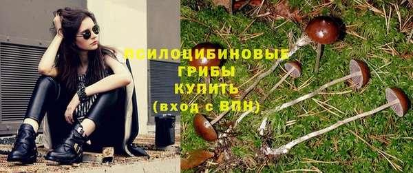 гидропоника Вязьма